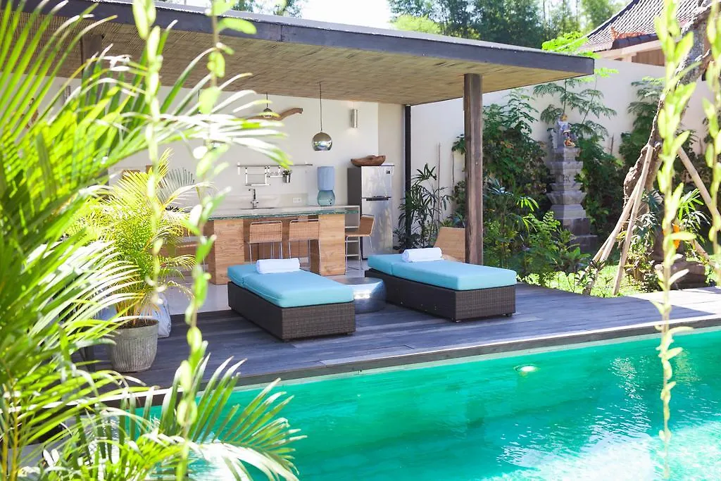 Mana Sari Villa Ubud